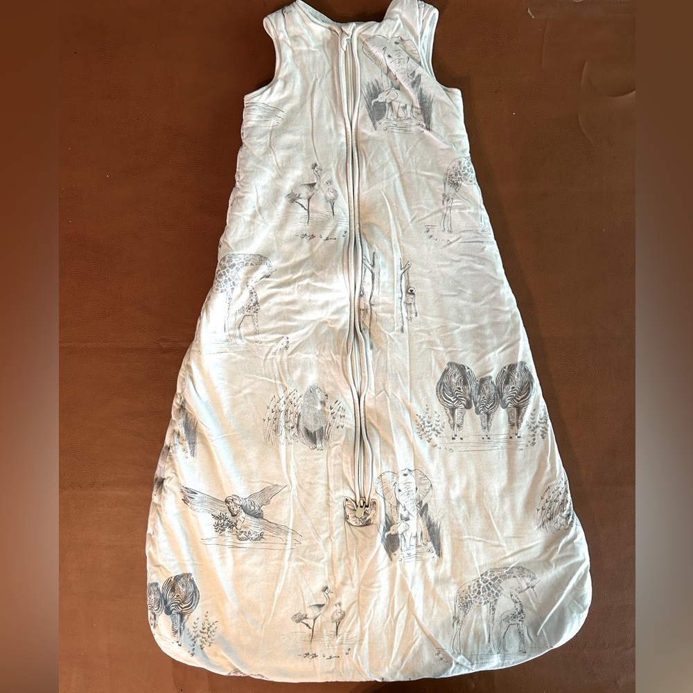 Aden & Anais sleep sack